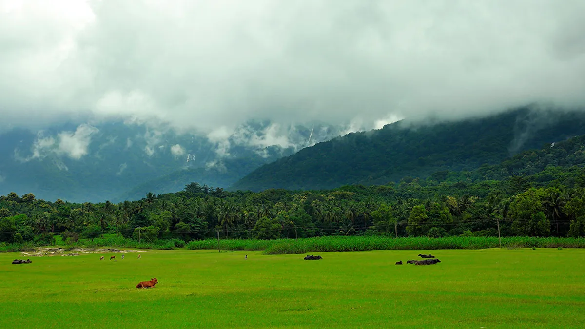 Palakkad