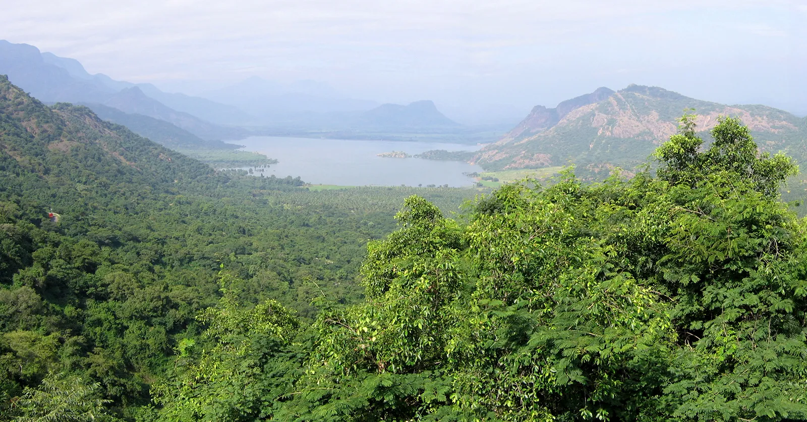 Palani